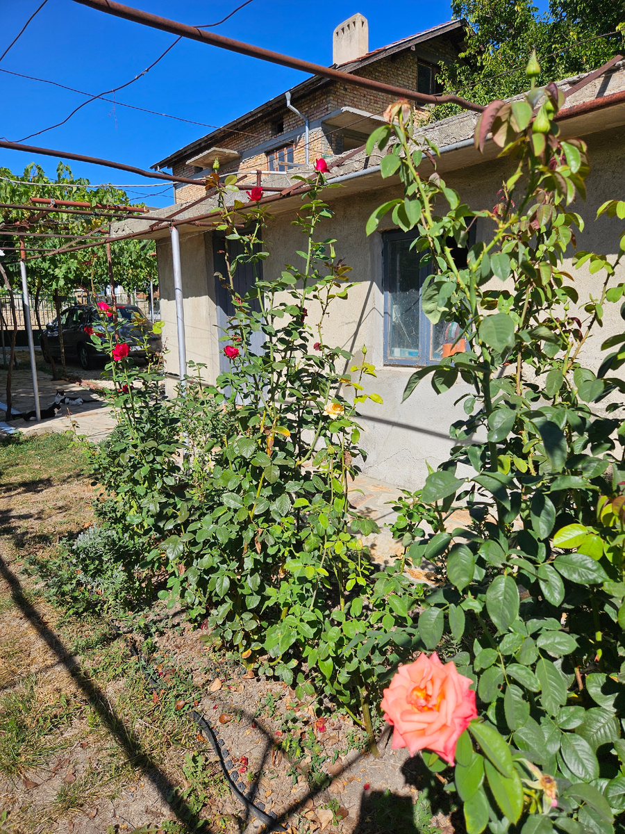 Мои безымянные сорта