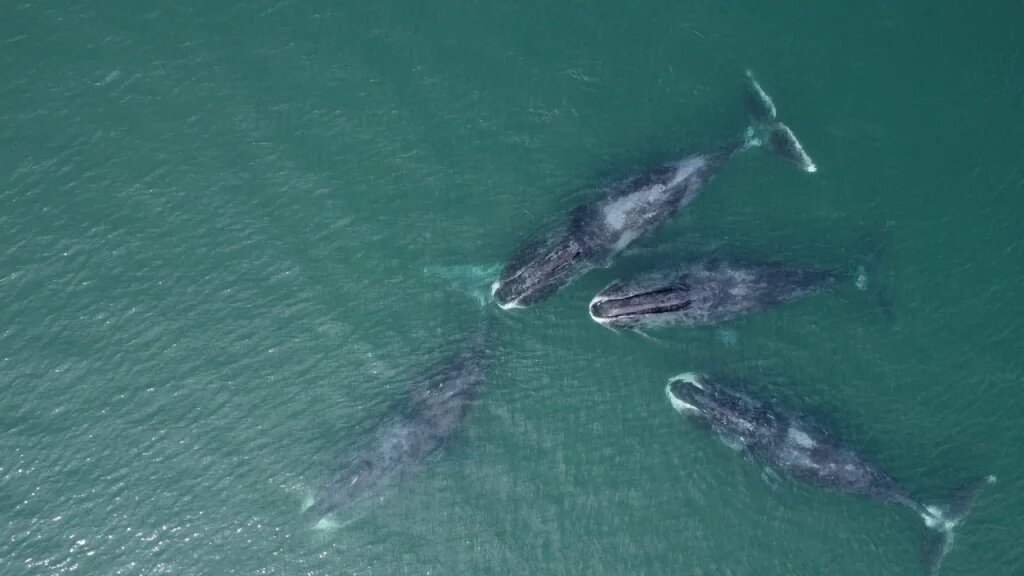 Фото: из личного архива Анастасии Куницы. Шантарские острова