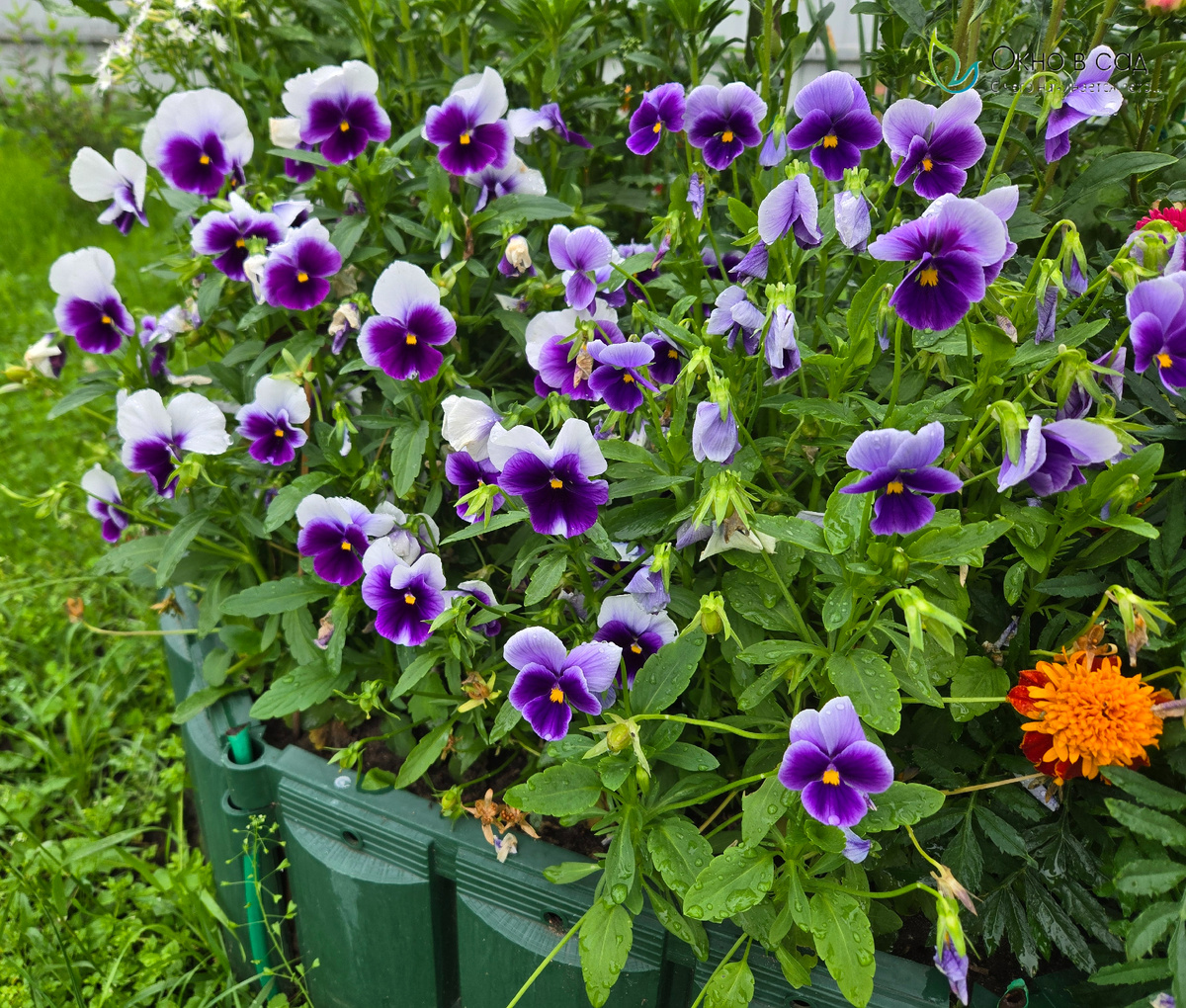 Фото из личного архива автора