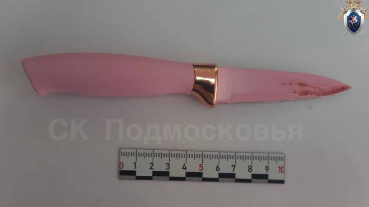    Фото: Следственный комитет России по Московской области