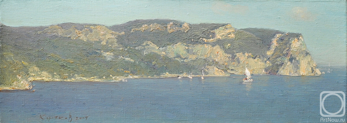    . . , . 17 x 46. 2007 .