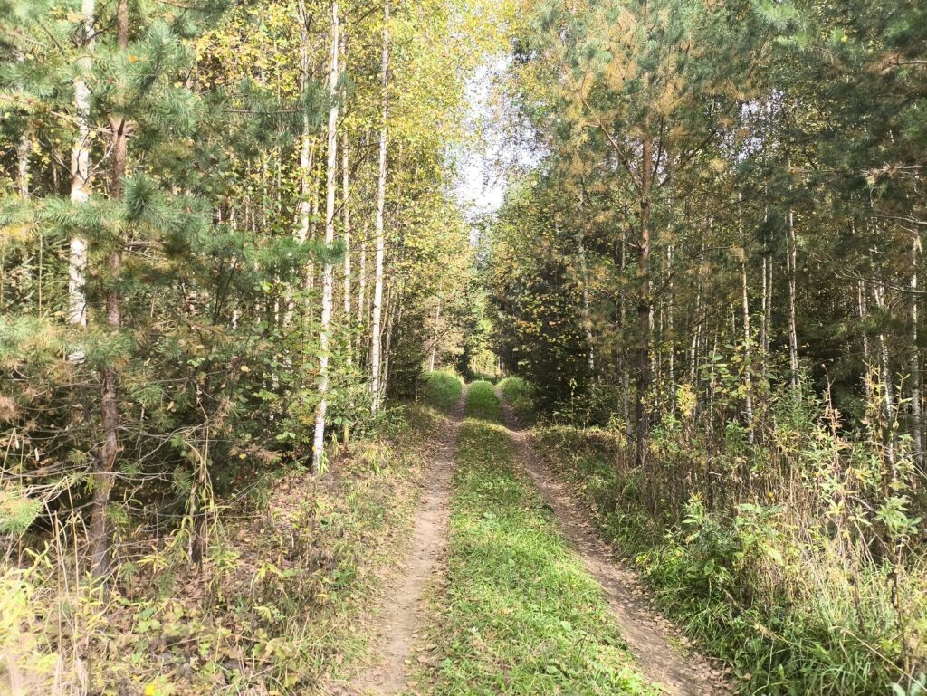    Фото: В курсе.ру Екатерина Радченко