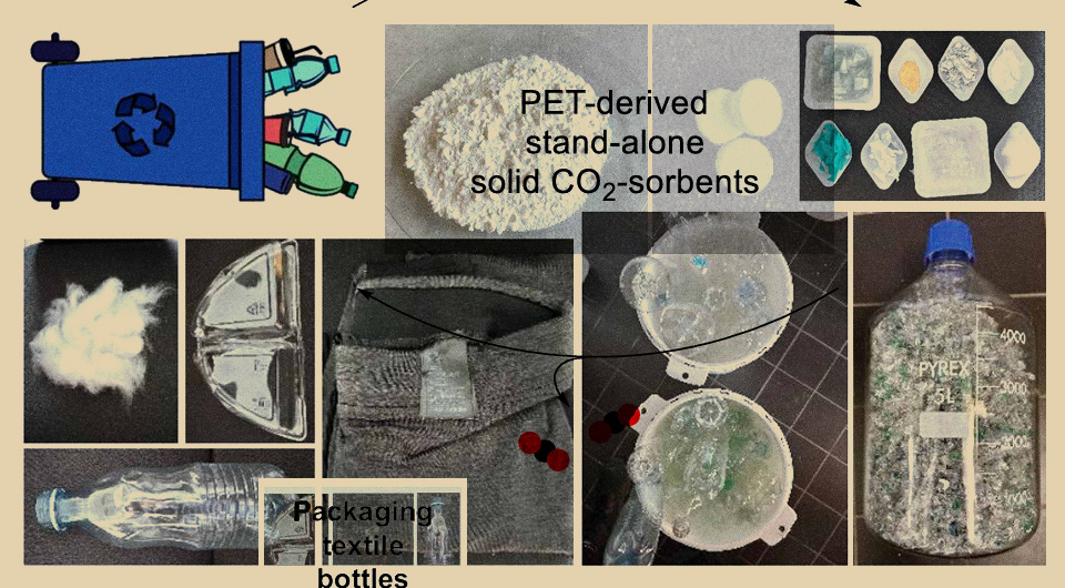   N + 1; Margarita Poderyte et al. / Science Advances, 2025