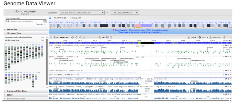 Рис 1. Геном человека в геномной базе данных на платформе NCBI
