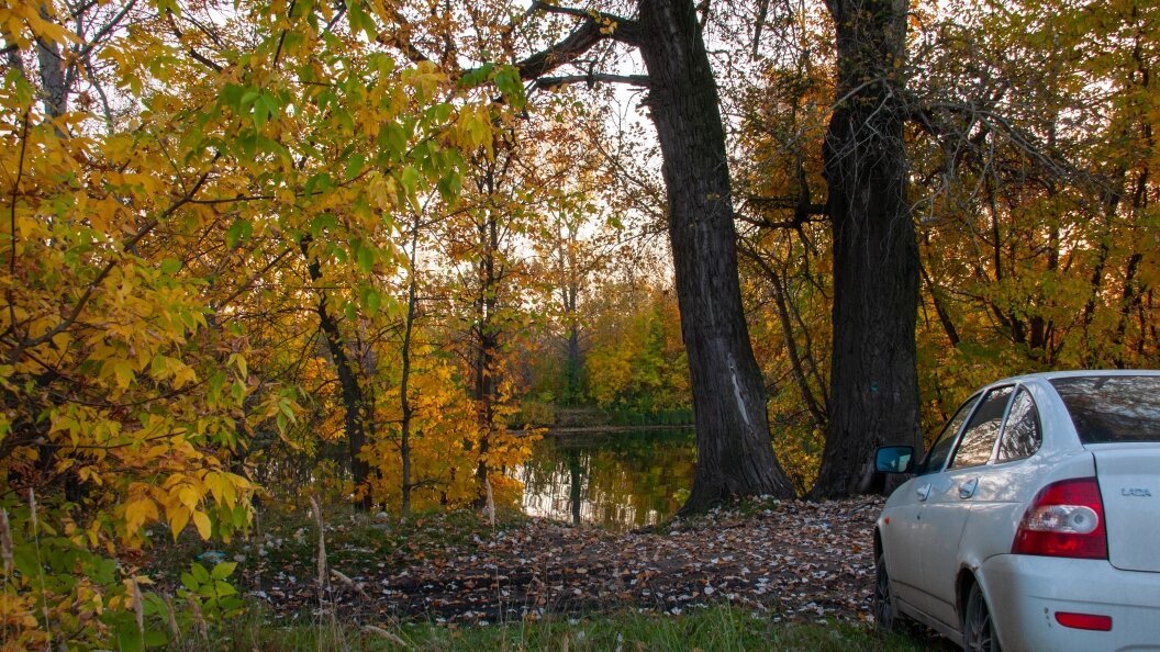    Svetlana Vozmilova/Global Look Press