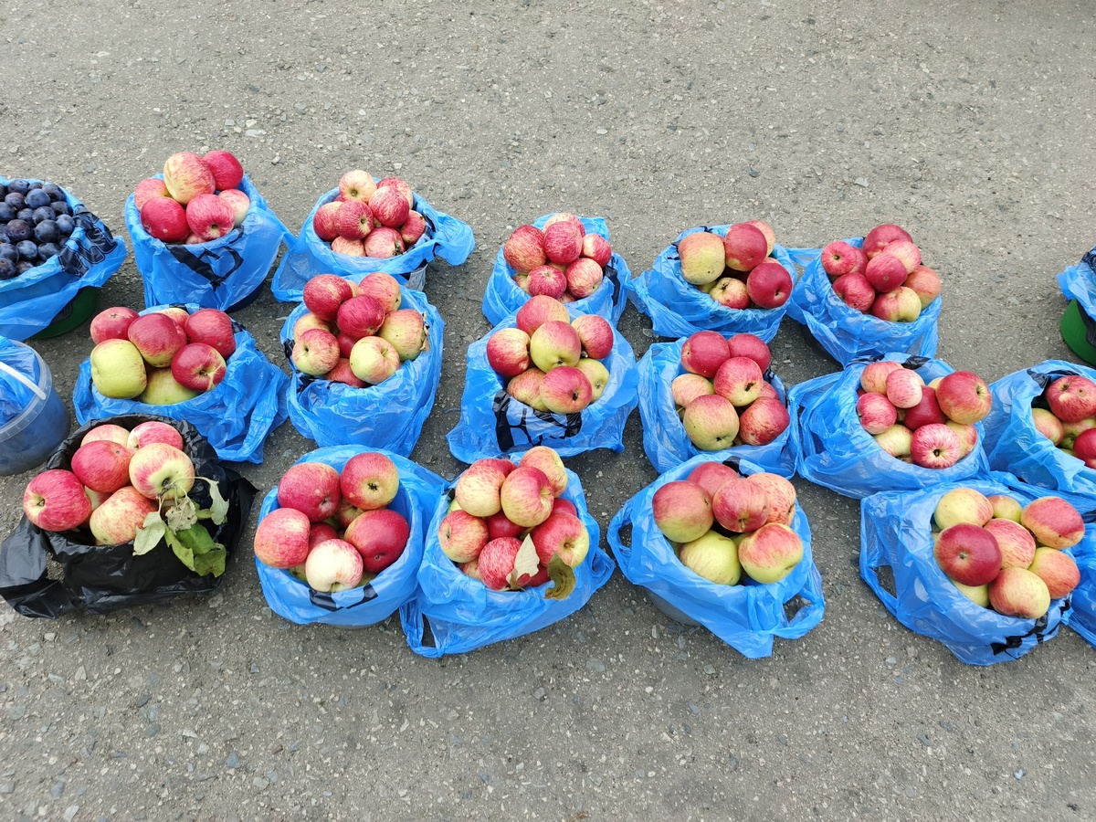    Никогда и никому не отдавайте излишки овощей со своего огорода, лучше выбросите. Вот почему не стоит отдавать