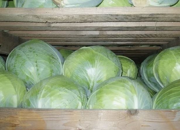 Как сохранить капусту сочной и хрустящей всю зиму