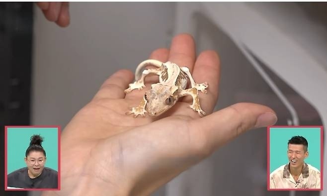    Кадр из видео