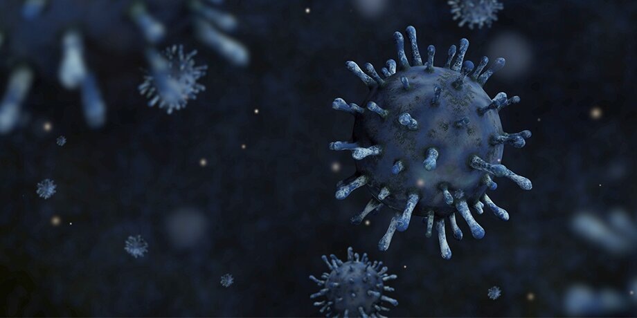    Фото: 123RF/recstockfootage