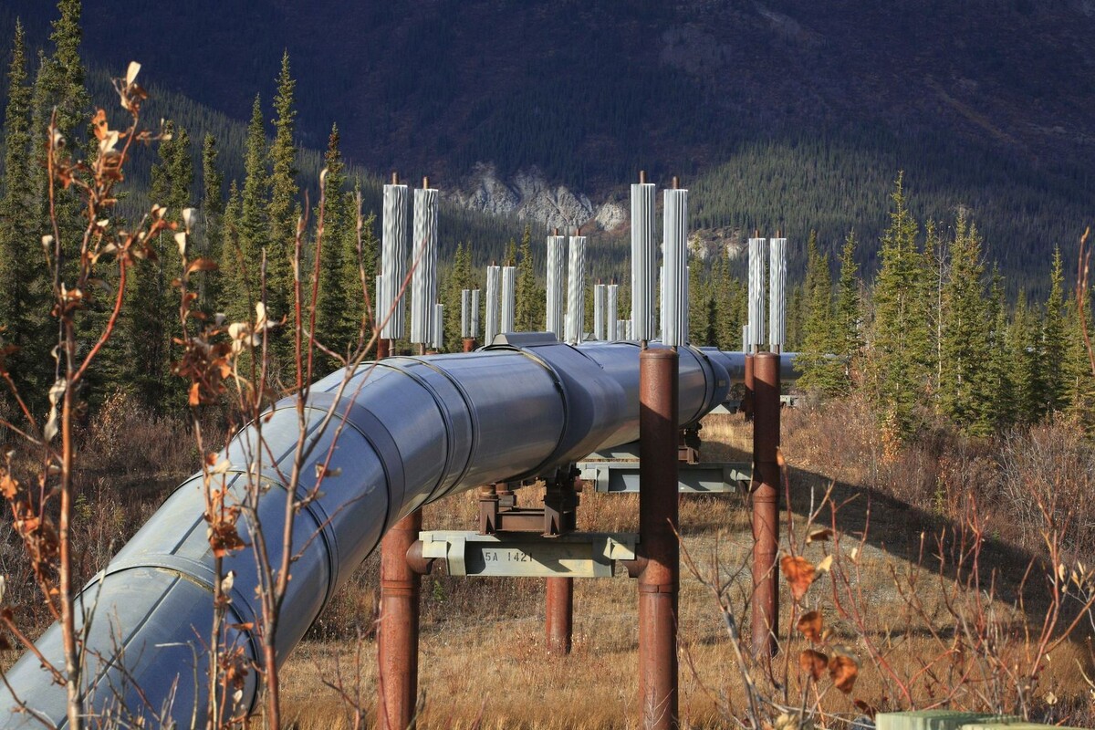     / Источник: © Global Look Press