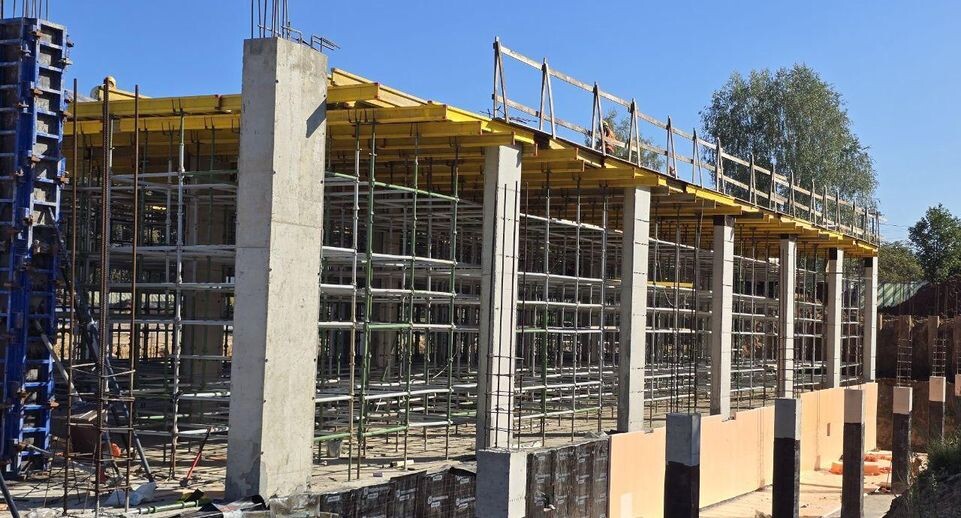    Шаливская Яна