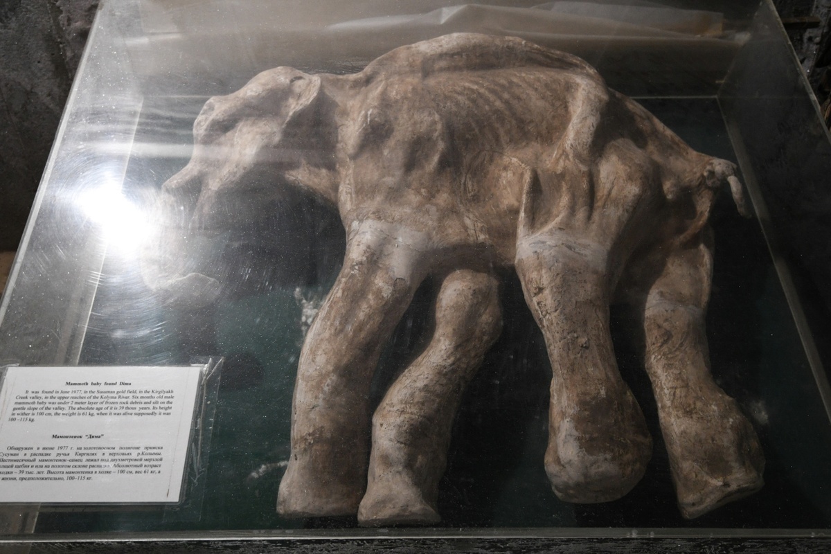    Фото: Александр Кряжев, источник: ria.ru