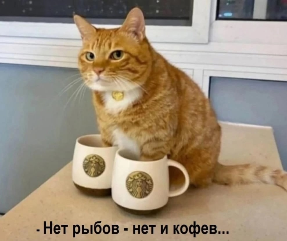 иллюстрация из яндекс картинки.