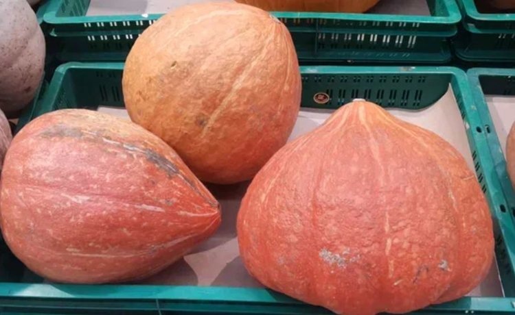    Фото: Лукьянов Дмитрий, AgroXXI.ru