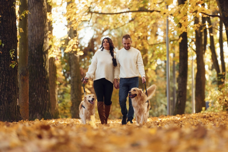    Shutterstock/FOTODOM