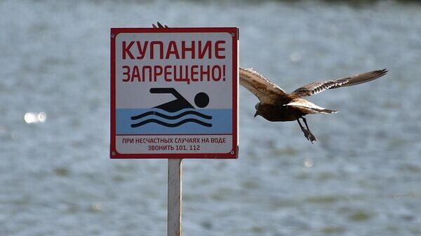    © Sputnik / Виктор Толочко