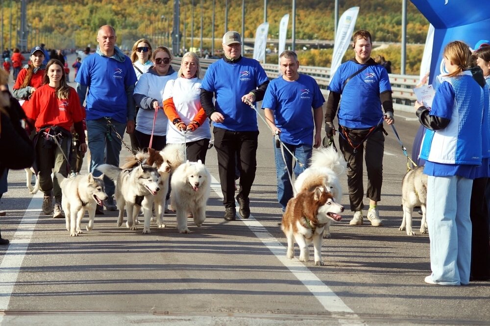    Фото: АиФ/ Наталия Вересова