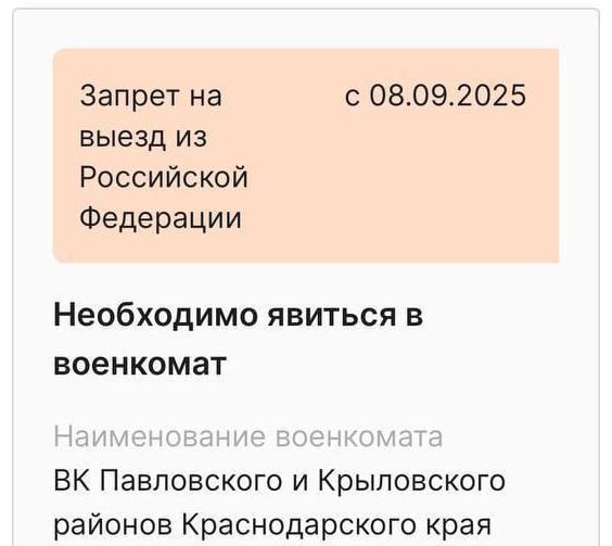 Наступила осень и "полетели" на юга первые электронные повестки