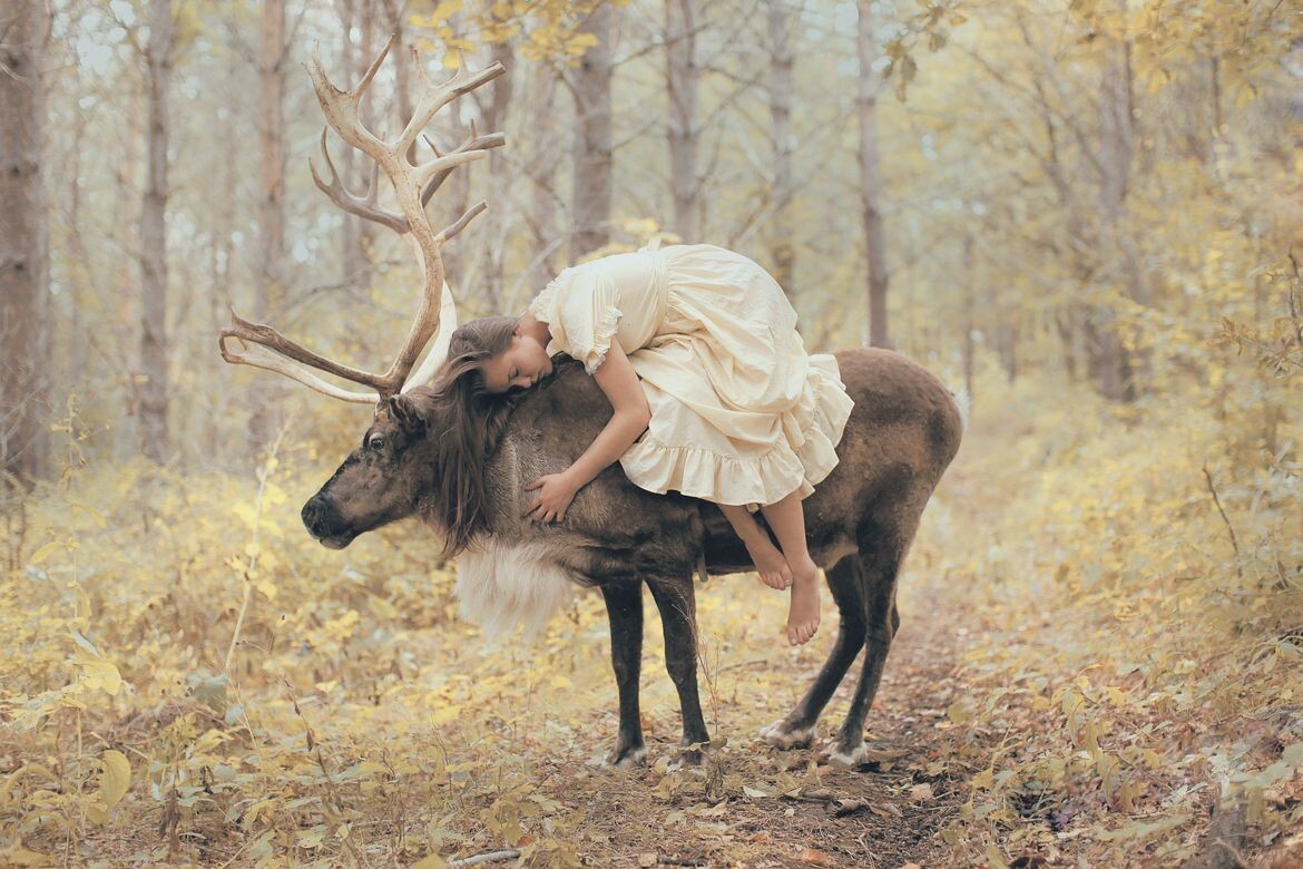 Изображение взято из открытого источника