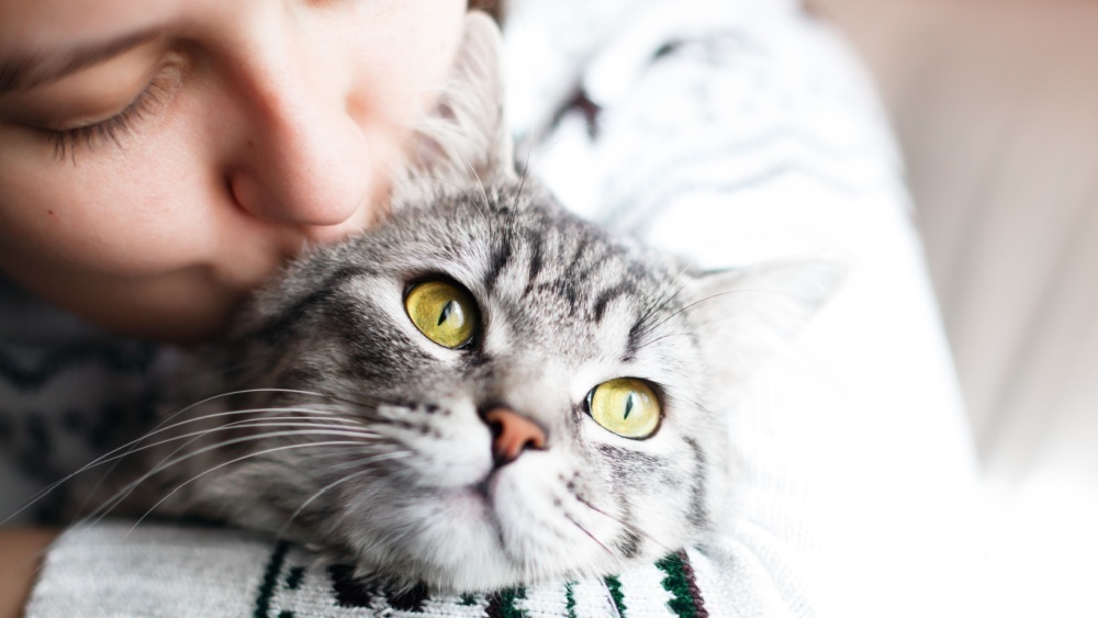     Фото: KDdesign_photo_video/Shutterstock/FOTODOM