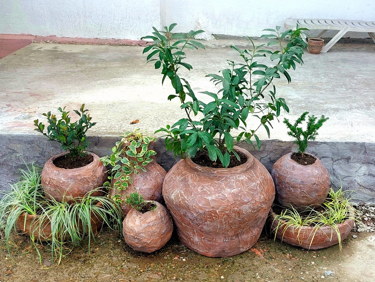    В каком горшке может спрятаться Буратино?:))