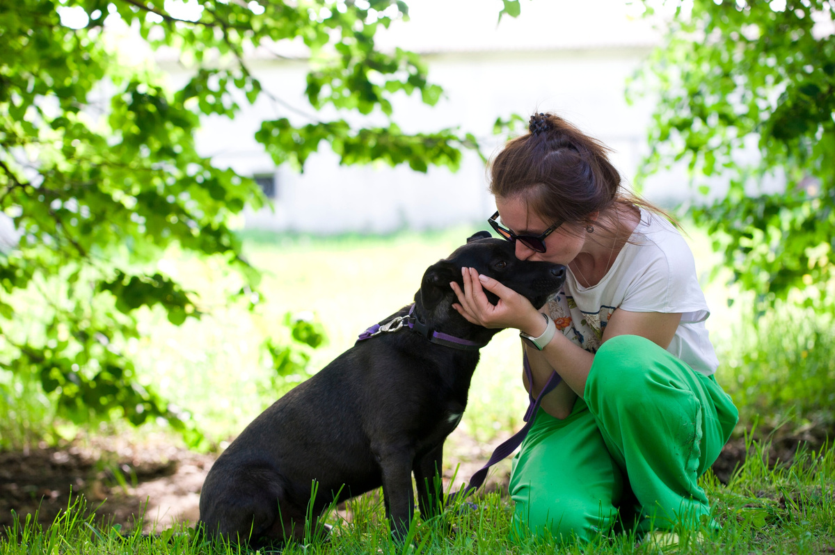 Всё будет хорошо, Чарли. Обязательно будет хорошо!! 