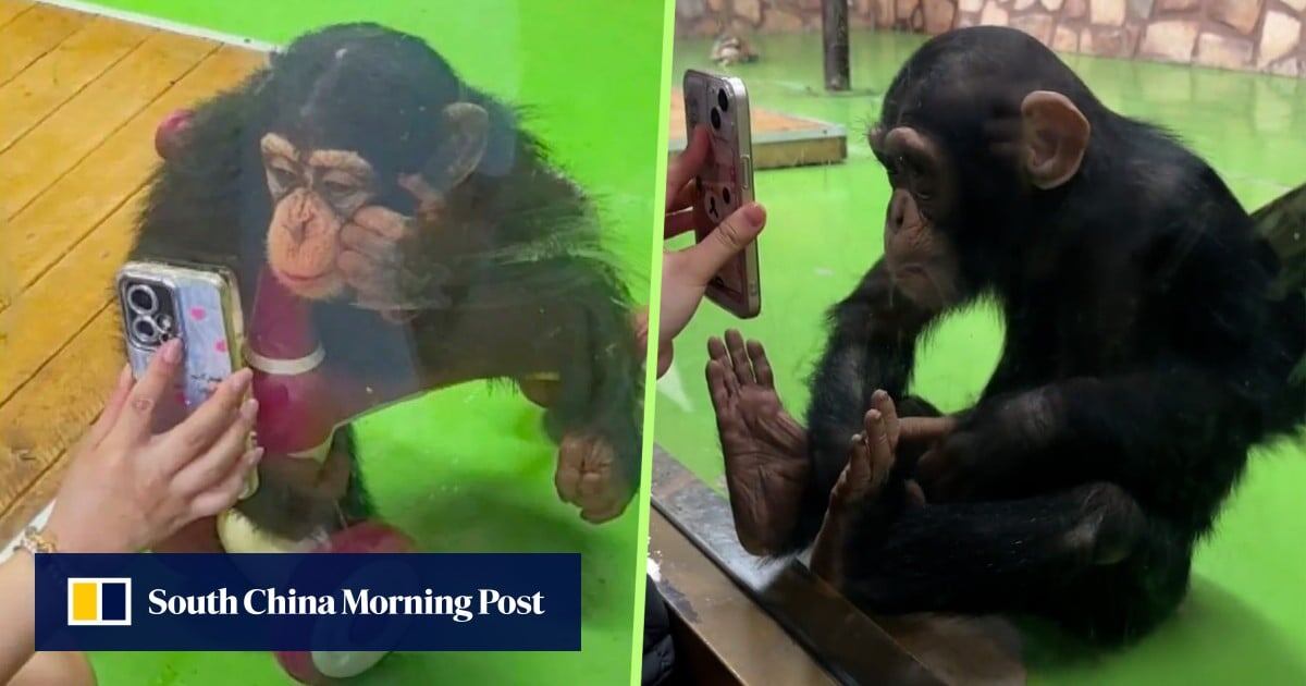 Источник https://cdn.i-scmp.com/sites/default/files/styles/og_image_scmp_generic/public/d8/images/canvas/2025/09/09/b6ce3abc-a774-42e5-9464-b468145bb718_13a7f5e8.jpg?itok=b_l97ru5&amp;v=1757405802