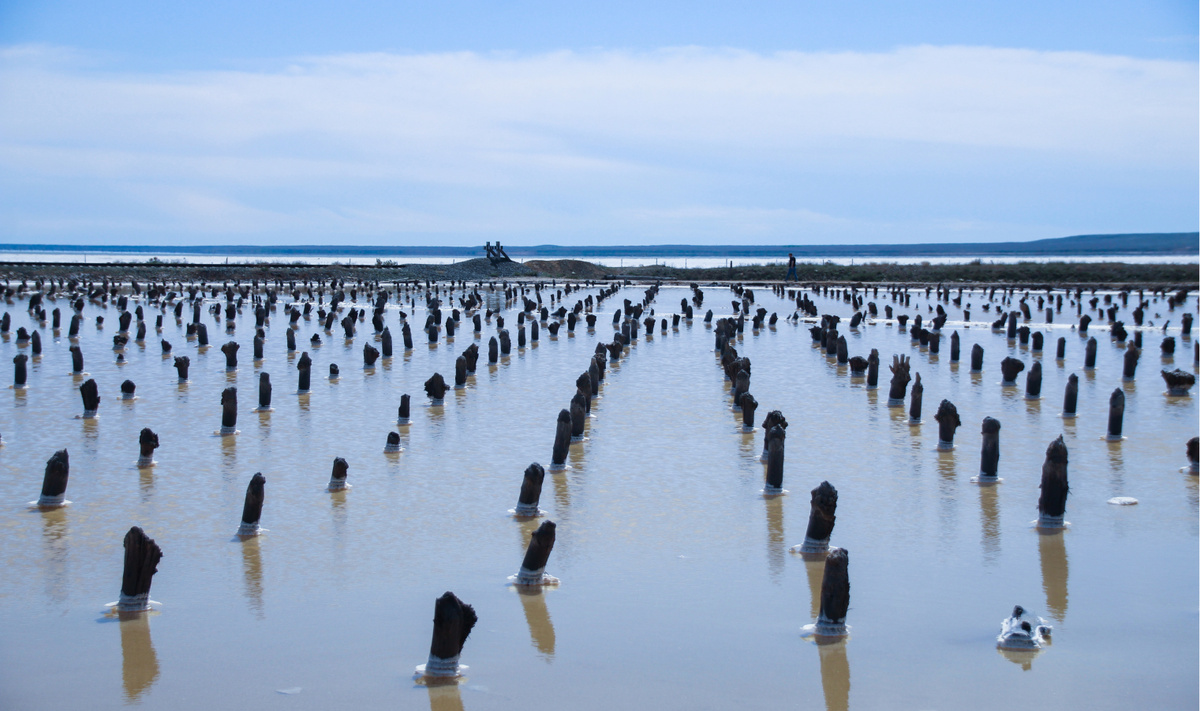 Раньше на сваи ставили помосты, с которых рыхлую соль черпали со дна и выкладывали сушиться.Фото: Полина Воронова