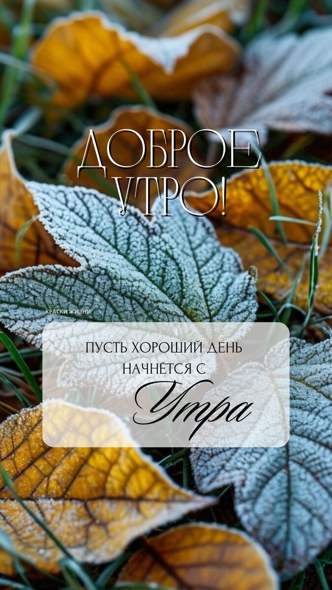 Доброе утро 