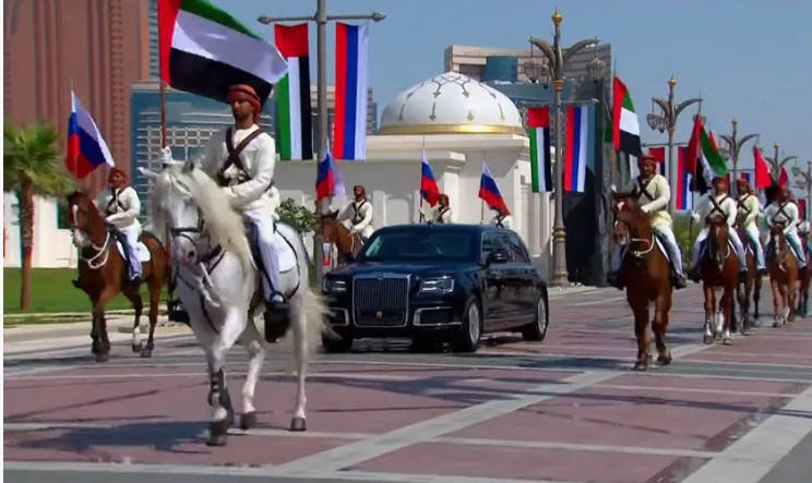 Все фото из интернета