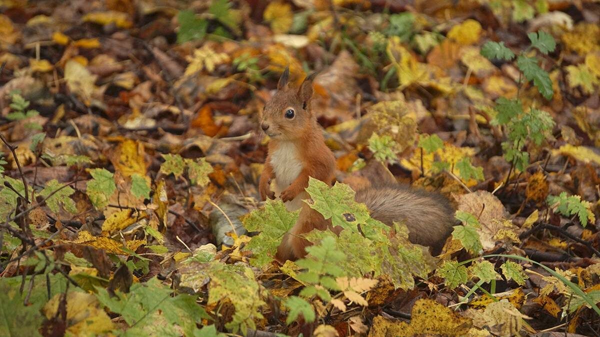    Фото: Анатолий Цымбалюк / Вечерняя Москва