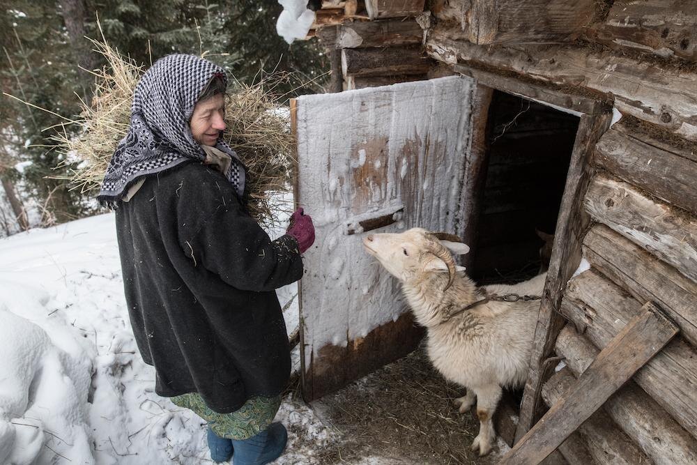 Фото из открытых источников