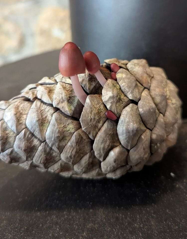 Источник: ColaRonaldo/reddit