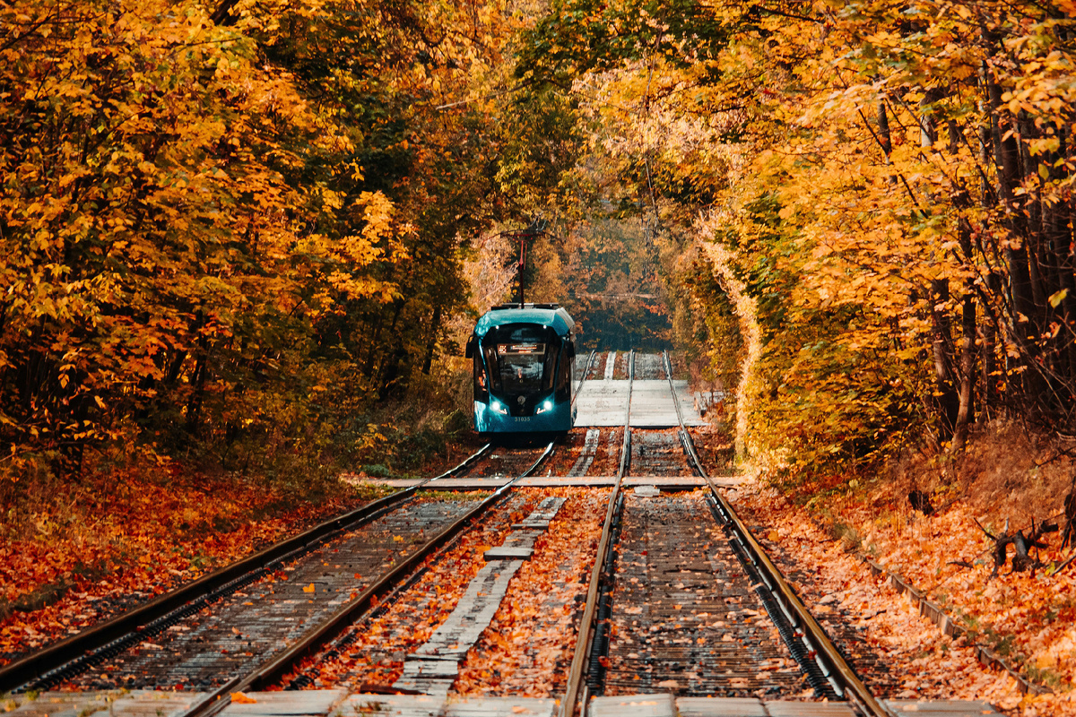  © Unsplash / Сергей Крылов