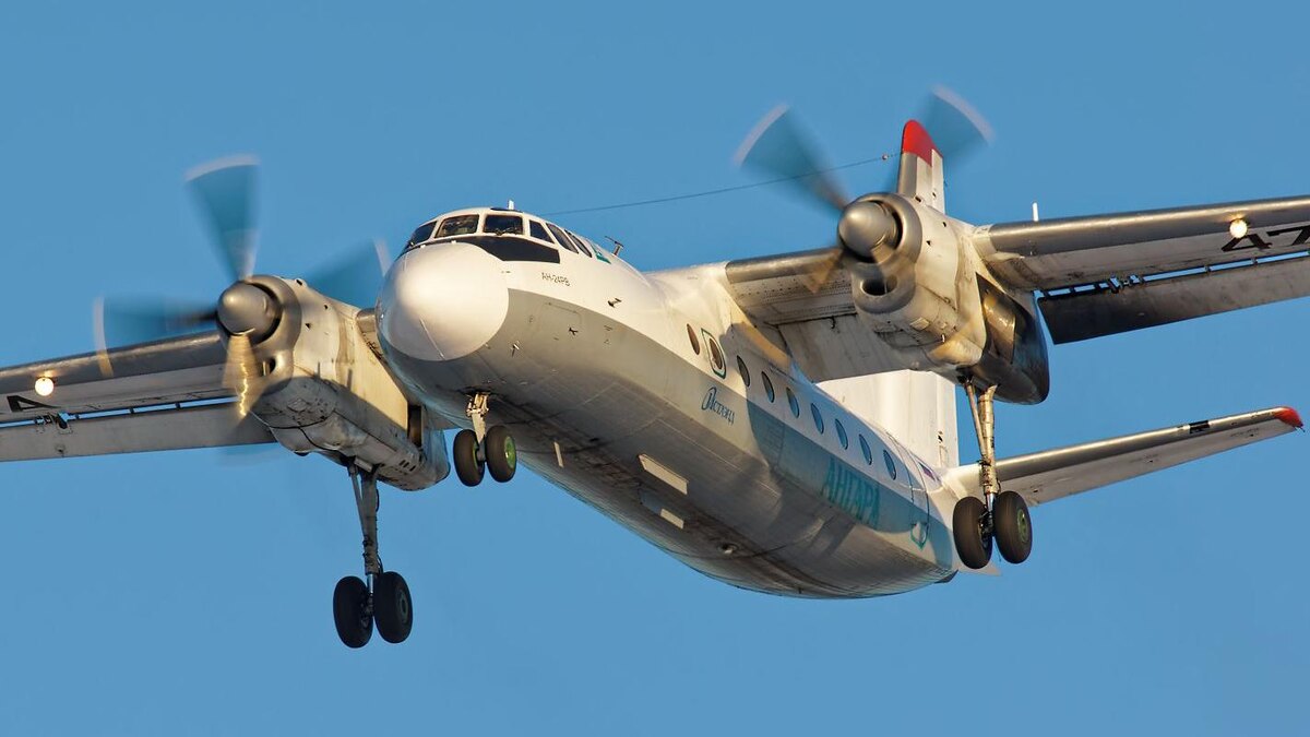    Фото: wikipedia.org/Rodion Kuznetsov; CC BY-SA 4.0