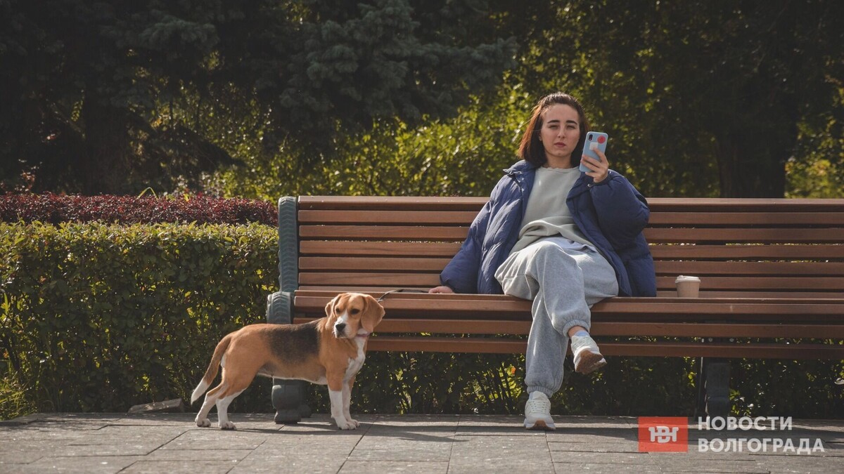     Источник: novostivolgograda.ru