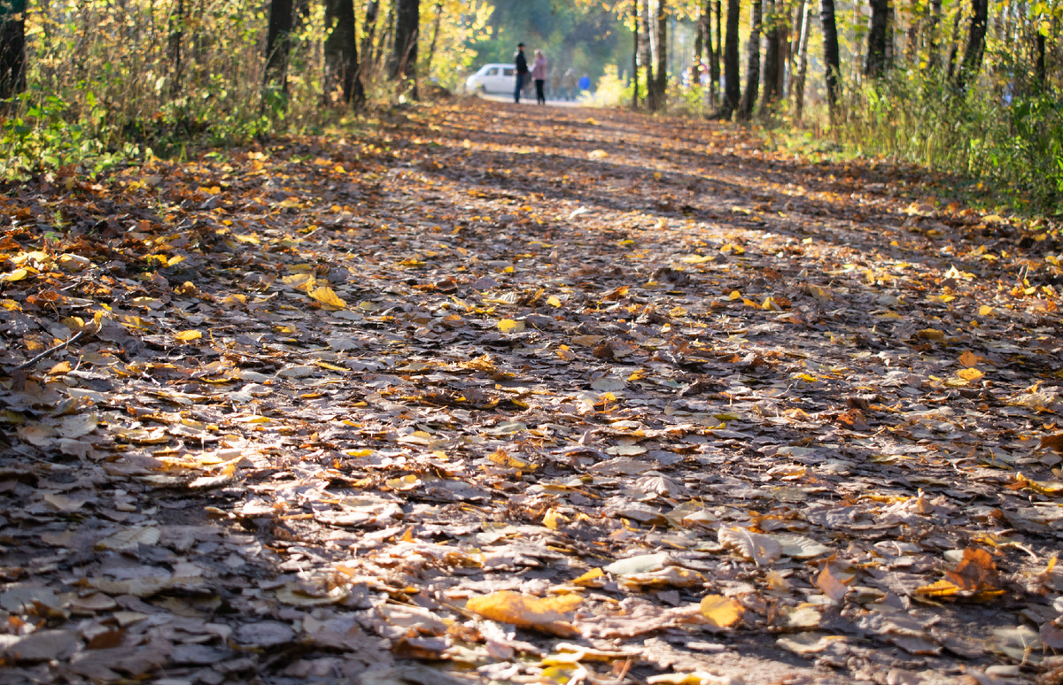 Вдохновению осенью. Создавайте с душой. Фотография автора статьи.