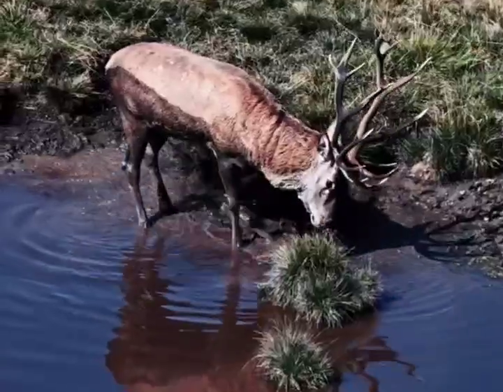    Фото: Telegram/Сочинский географ