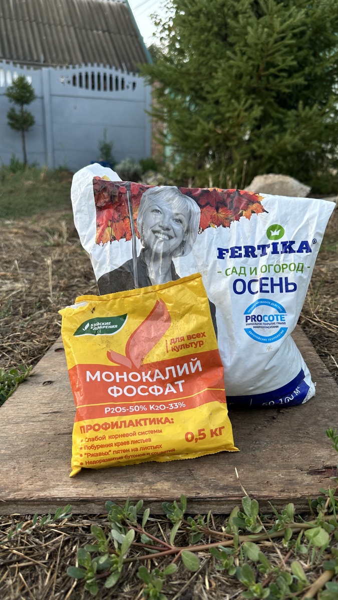 Готовимся к зиме: уже сейчас начинаем вносить удобрения. Растения  осенью особенно нуждаются в калии и фосфоре