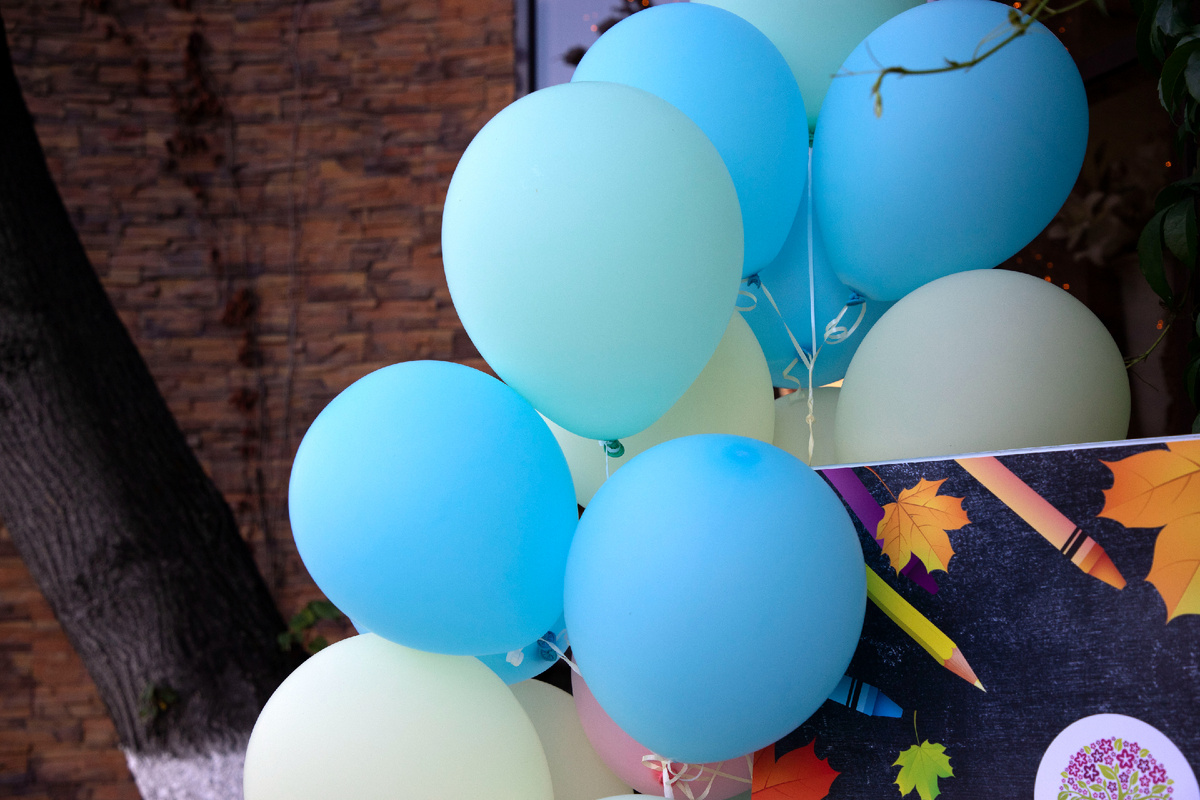 Фото: Тульская служба новостей