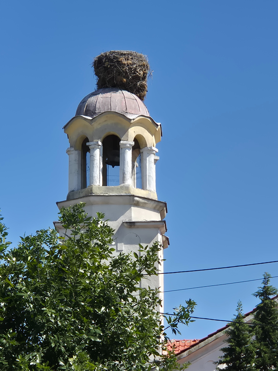 Гнездо для большой аистиной семьи в городе Стамболийски. Интересно колокольня действующая? Может там аисты - музыканты проживают :).