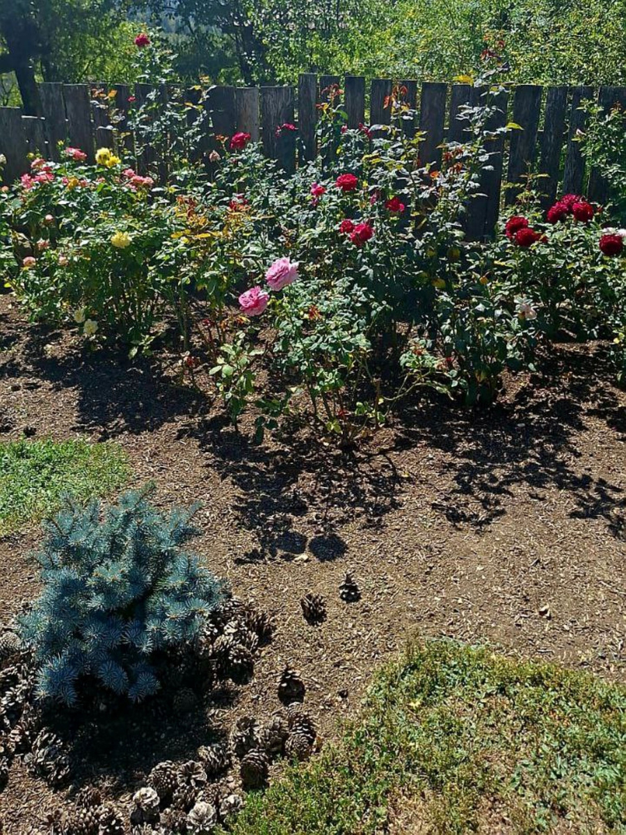 А тут целый ландшафт.