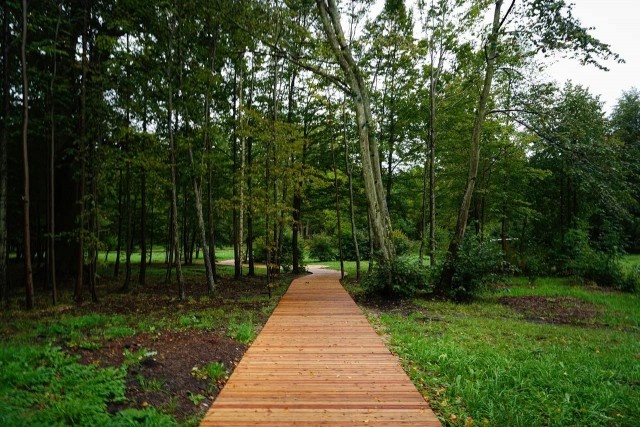   Фото из архива Калининград.Ru