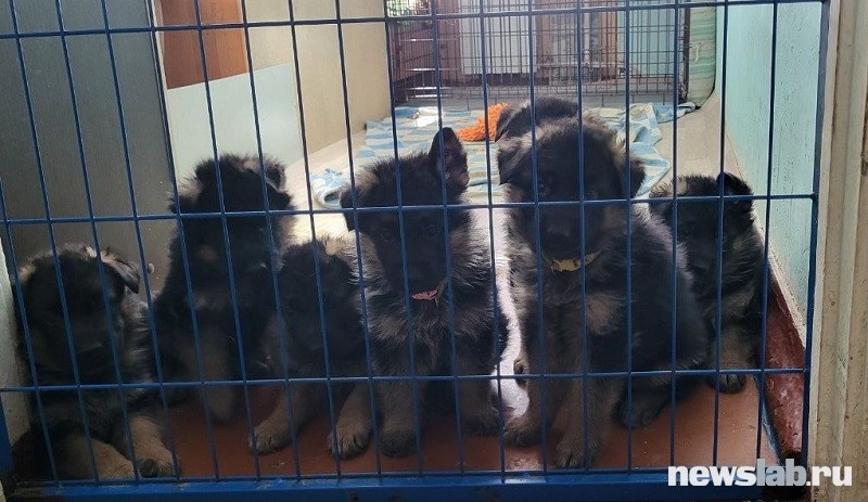 Фото: Анна Вязникова