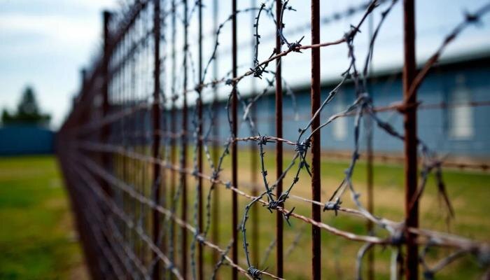 Обложка © «Шедеврум» / Life.ru