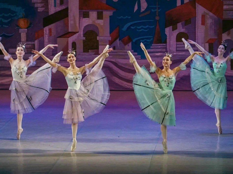     Фото: Московский областной государственный академический театр «Русский балет» имени В.М. Гордеева