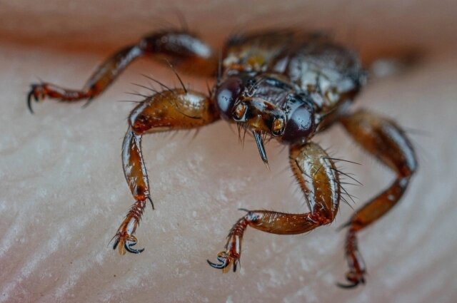    Фото: Каждой твари по паре / Павел Глазков