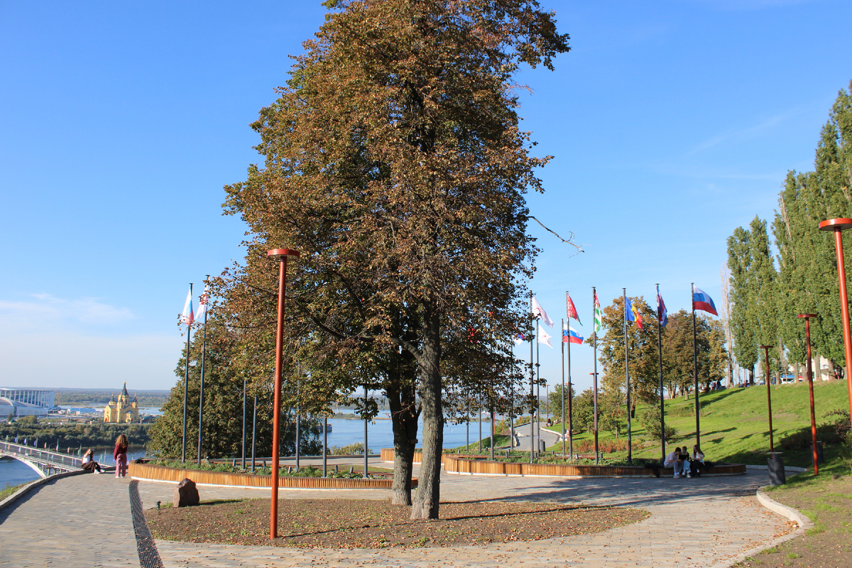 Аллея Дружбы в Нижнем Новгороде. Фото автора канала
