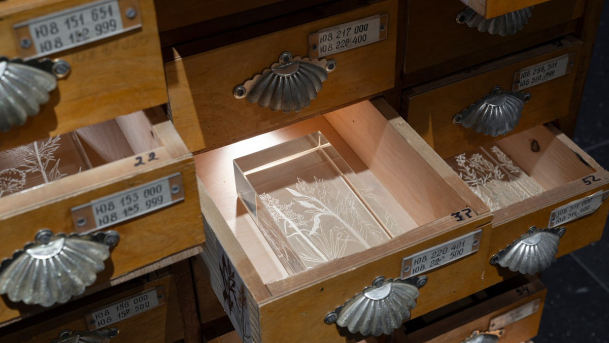   Дарья Неретина- Из проекта «Тайная жизнь» 2025