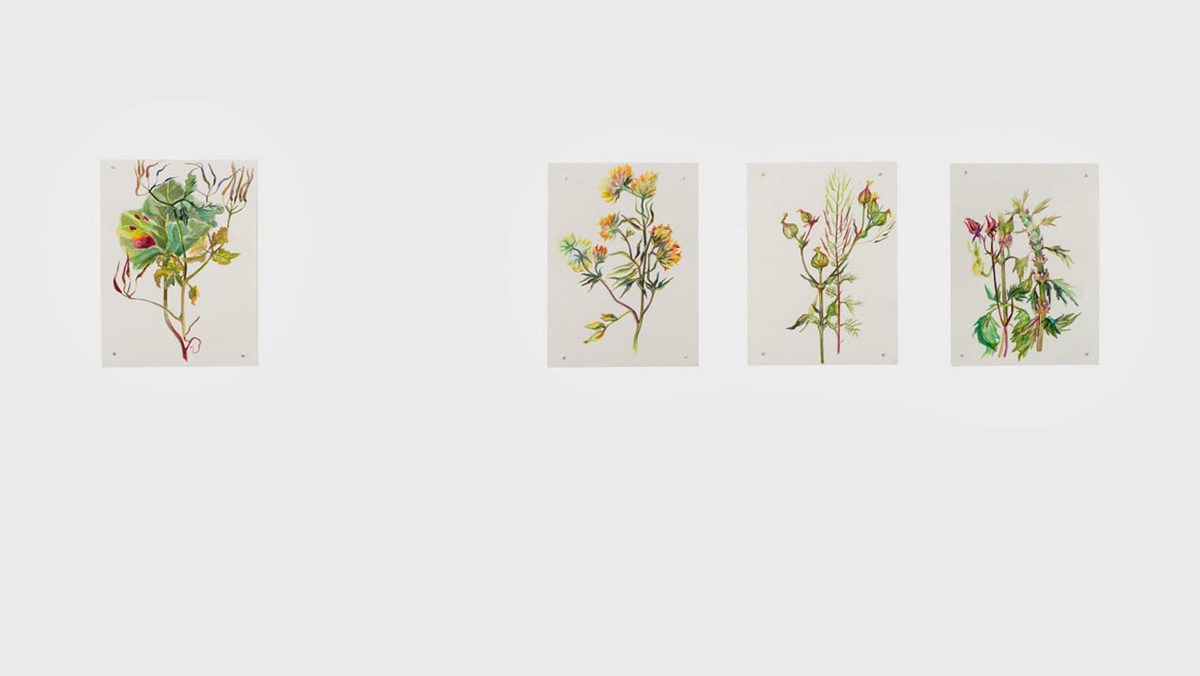   Из проекта «Сад памяти 2.0» 
Дарья Неретина